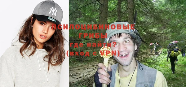 прущие крисы Армянск