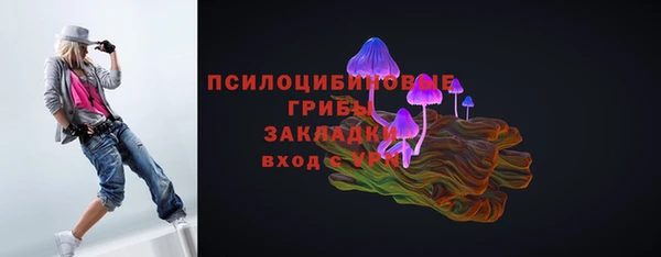 гидропоника Арсеньев