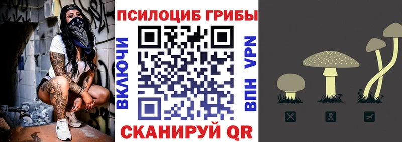 блэк спрут рабочий сайт  как найти закладки  Ипатово  Псилоцибиновые грибы GOLDEN TEACHER 